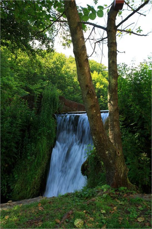 Fruktarium Vendeghaz Hotel Trizs Luaran gambar